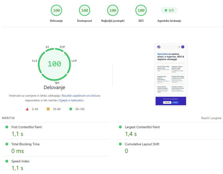 PageSpeed rezultat testa za mobilni prikaz - Tehnična optimizacija spletnih strani